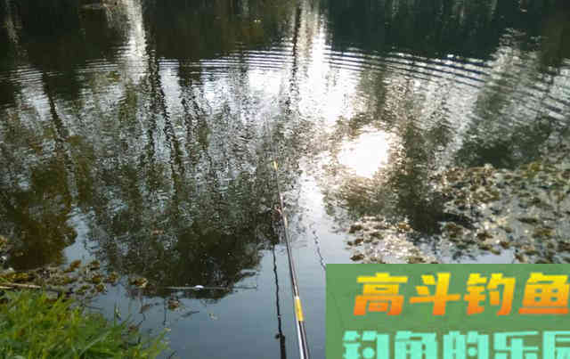 想要钓好鱼，先要用对饵