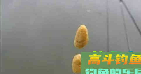 黑坑钓鲤鱼饵料该如何搭配?散炮又该如何开制呢 黑坑钓鲤鱼饵料该如何搭配?散炮又该如何开制呢