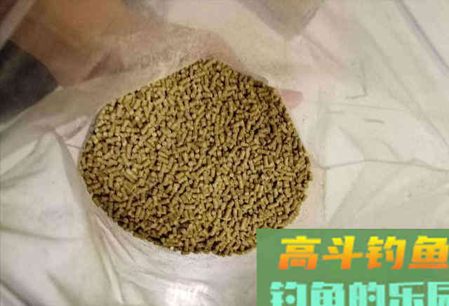 开饵配饵五个原则，开饵真的一点也不难