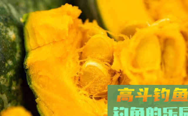 钓友爆连我却没口！观察才得知所用竟是钓饵中的白菜