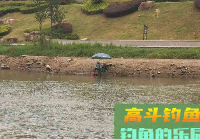 一遇退水就不钓鱼了？告诉你一些实用的建议