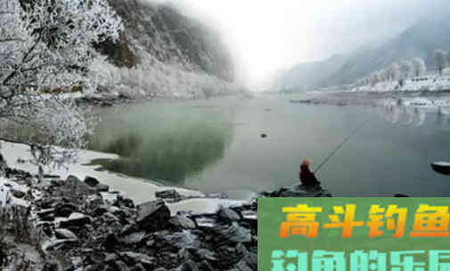 下雪之后天气寒冷，找对钓点、用对饵料也能钓到鱼