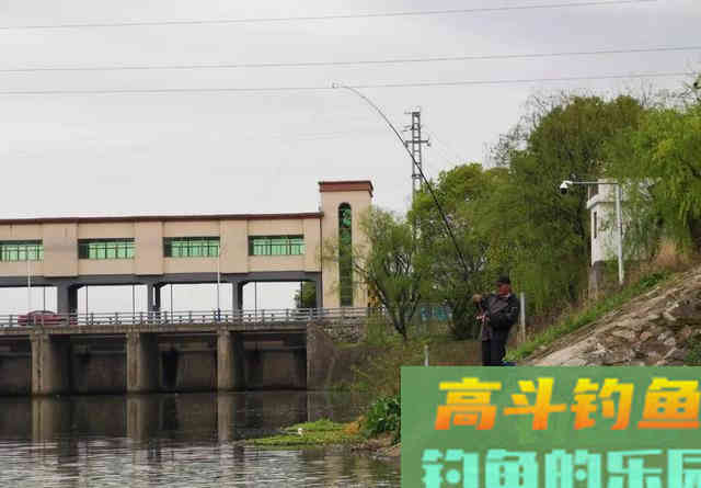 鱼不吃钩一定是饵料味型有问题；鱼：我只是没胃口