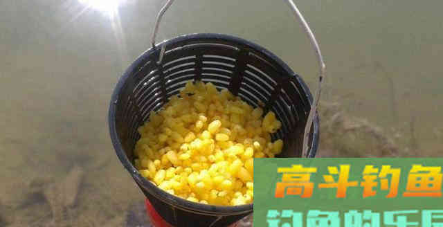 钓了多年的鱼，才知道冬钓要这么打窝