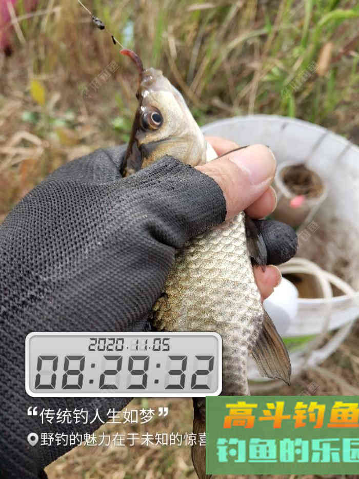 抖灰面线组的制作及使用