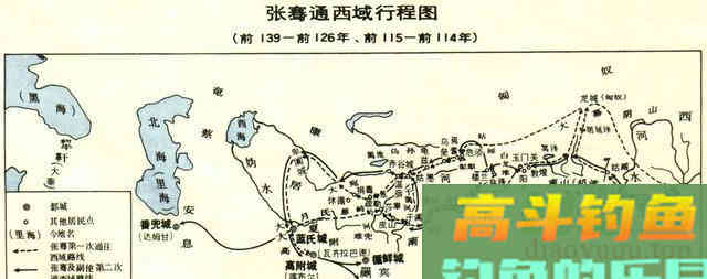菜籽饼不脱毒打窝不能用吗