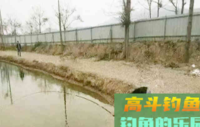 为什么说：钓鱼人的嘴不可全信