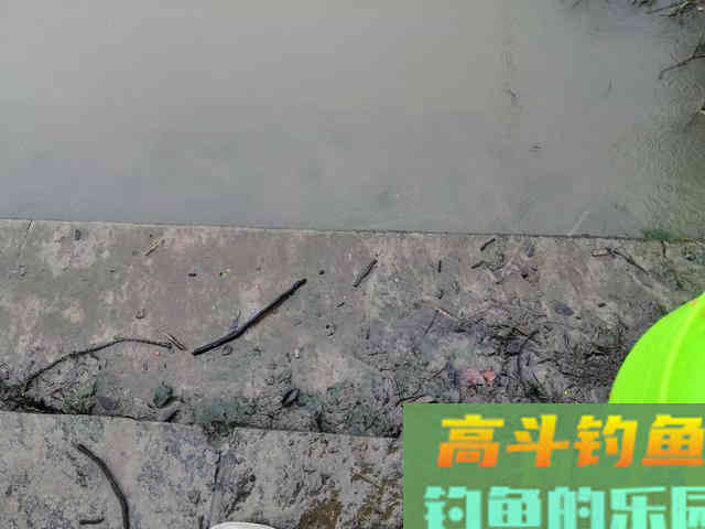 老钓友亲身经历分享