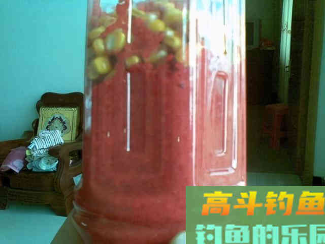 大米这么处理，用来打窝，效果比小米好