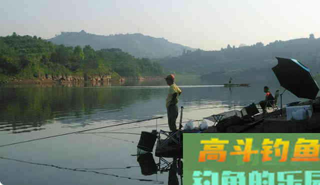 鱼口变轻，看不到浮漂信号，这样确定钓目才能提高中鱼率
