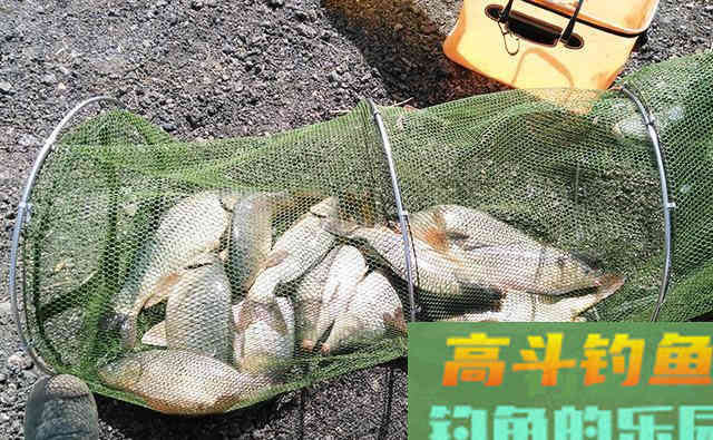 影响渔获的关键，不在于调钓和窝料，而是它们