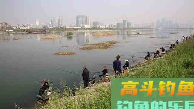 这三种判断鱼情的门道，没有十年钓龄基本做不到