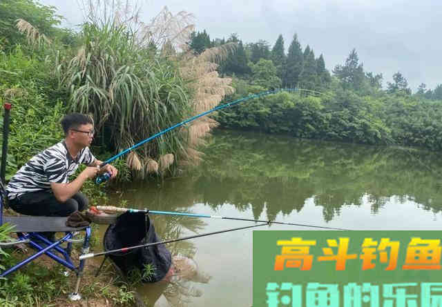 新手学钓鱼，应该要知道的5个真相