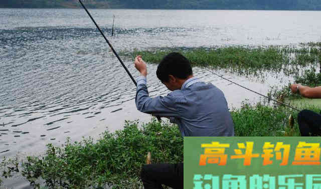 浮漂下顿一目就不动了，提竿却没鱼