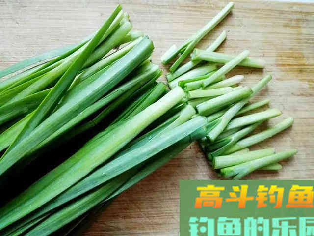新鲜的嫩韭菜，只要这样处理，大草鱼成群进窝给口