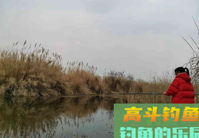 钓两条就停口？浅水钓鱼最怕炸窝，预防比解决更重要