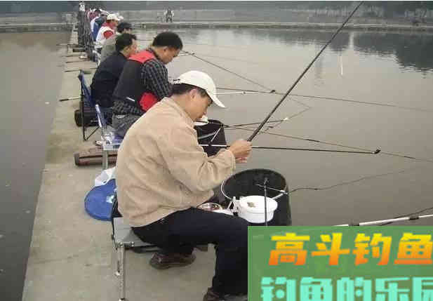 钓鱼时，上饵、抛竿，手抓在哪里才最合适呢