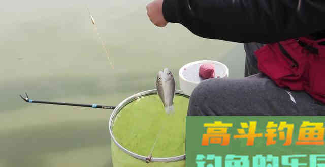 钓鱼中这3个坏习惯，不但让你渔获大减还特别伤线