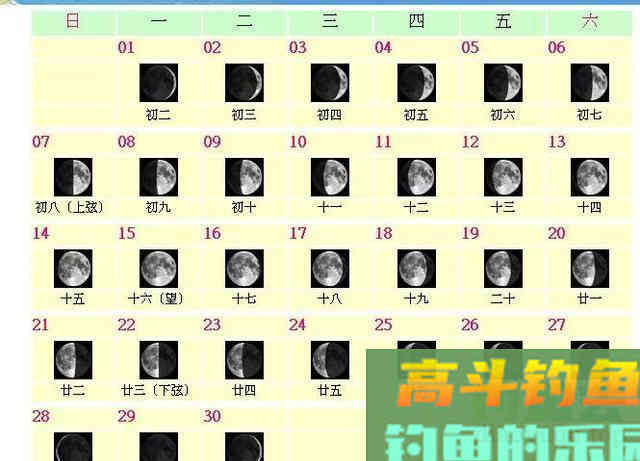 是什么决定了钓鱼隐藏定律