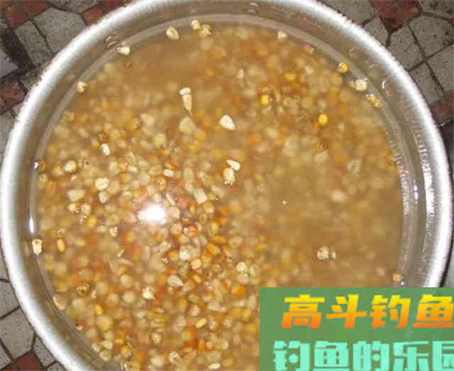 掌握泡和煮，加工出来的玉米，不愁大鱼不进窝