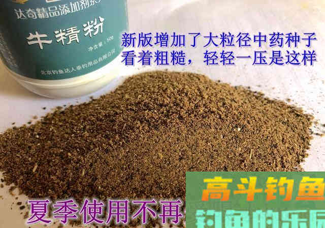 VB小药分鲫鱼和鲤鱼？辟谣：这是饵料骗局