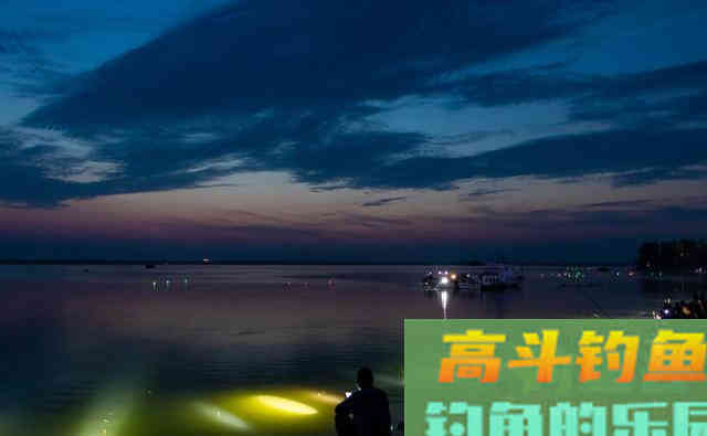 新手学大师钓鱼，越学越是钓不好