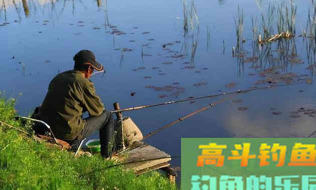 天冷了，还在用老方法开饵收获少，换成轻饵试一试