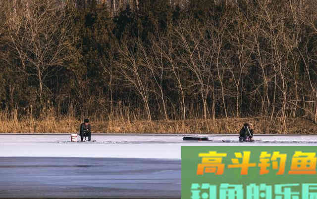 冬天钓鱼，如何快速诱鱼？这样打窝，效果杠杠滴