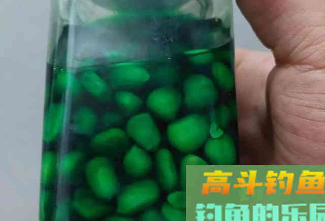 鲜玉米做钓饵这样加工一下，鱼爱吃又方便携带