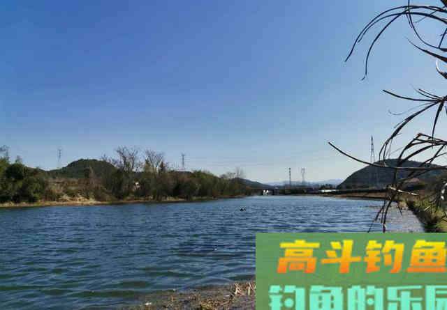 同一个钓位，昨天能连杆今天却空军！背后的原因你知道吗