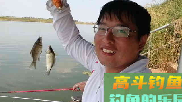 钩距大小有何讲究？实战经验告诉你