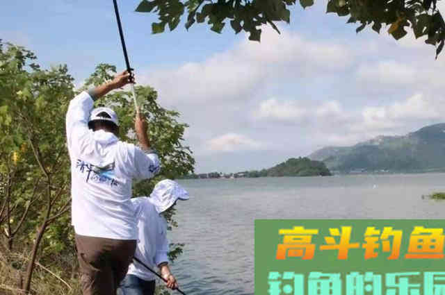 水流太大就不好下竿了？二十年老钓鱼人霸气出招