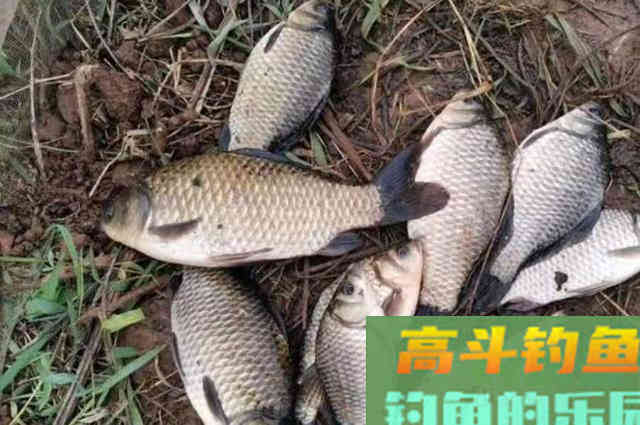 这四个子线用法，既简单又实用