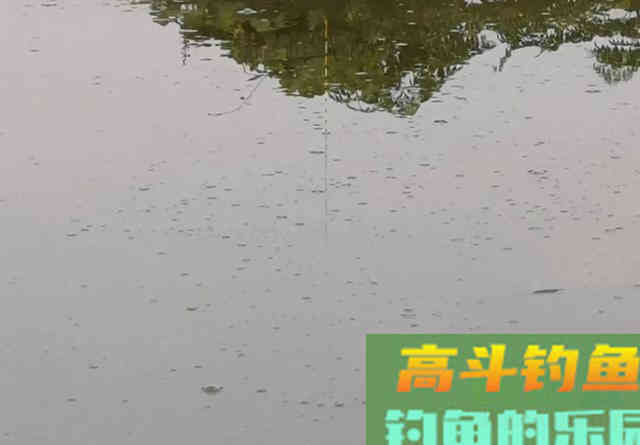 顶漂能中鱼，你偏要看顿口，最后漂调好了，鱼却跑光了