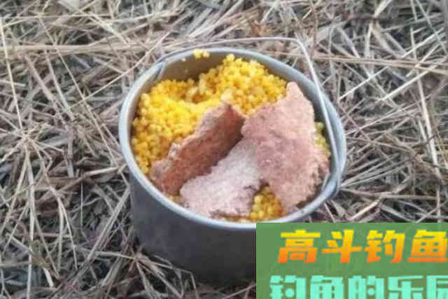 冬天诱鱼太慢，恰巧我有4个打窝诀窍