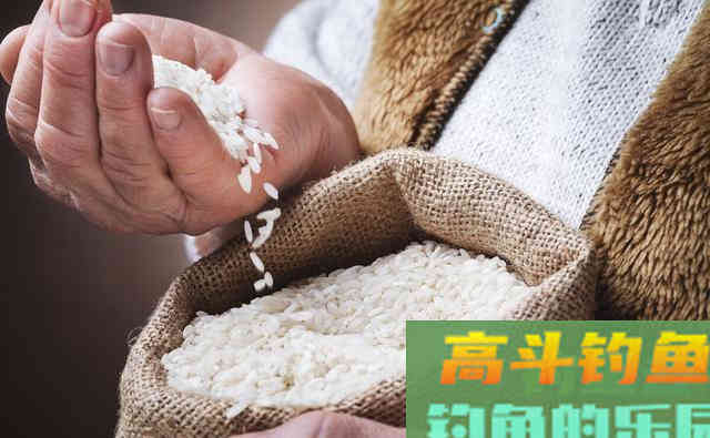 连中鱼率都不敌此类自制鱼饵