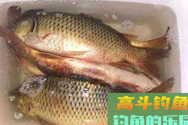 这鲤鱼饵果然来头不小，渔具店老板都在偷偷用