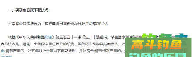 冬天钓鱼用这几种小药物美价廉