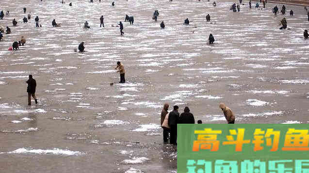 小寒过后如何作钓？老钓友说的这几点你要知道