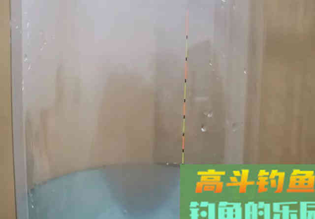 ​子线支撑力是否真的存在？别再争了，看完几组图片就能明白