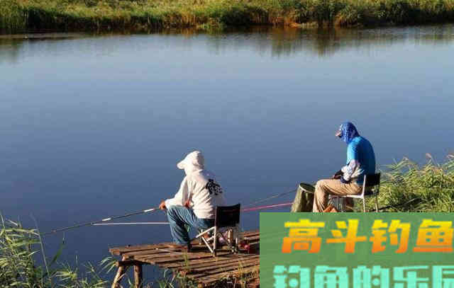 鱼口越来越慢，试试这几招