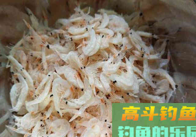 生活中的这些食物，不仅可以吃，也可以拿来做饵料添加剂