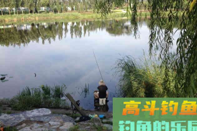 浮漂有动作后，要在什么时间提竿呢