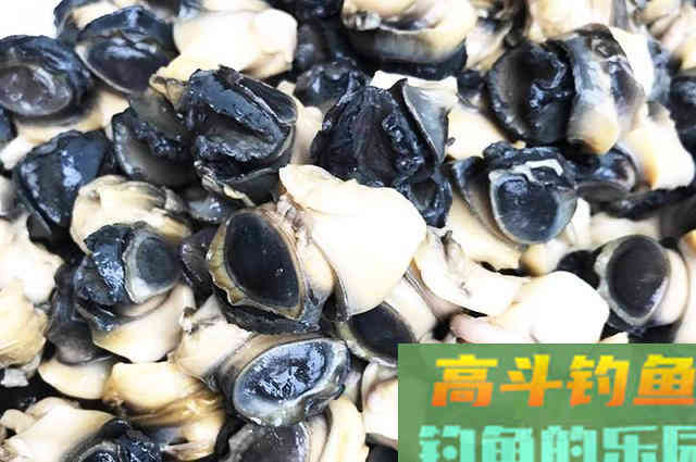 这4种钓鱼饵料，并非一无是处