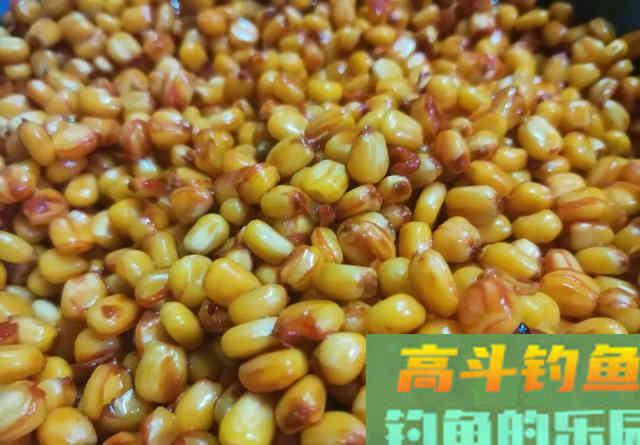 为什么野钓从不建议加小药？并非效果不好