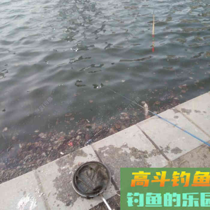 那熊学钓第72篇：灵活用饵