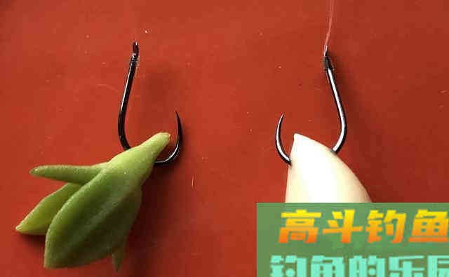 揭秘自制“大蒜饵料”的真相