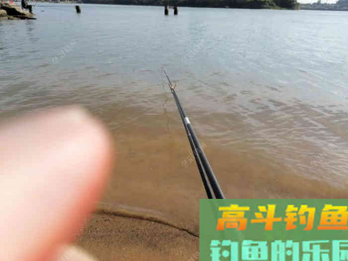 蓝鲫如何单开拉饵、搓饵？拉饵又如何增加雾化