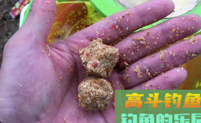 拉饵、搓饵的开饵和上饵经验