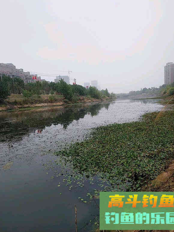 到钓点三分钟判断有没有鱼，只需看三点就行